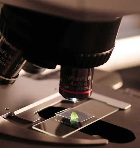 BTSa anabiotec analyses biologiques et biotechnologiques - campus snm
