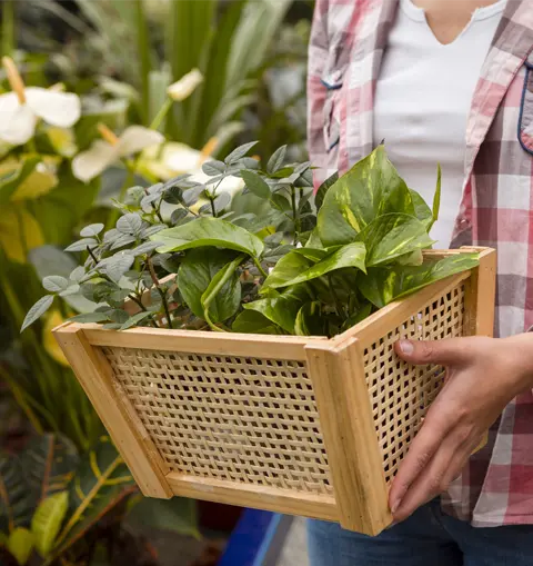 Bac pro technicien conseil vente univers jardinerie - campus snm