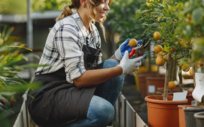 CAPa – Métiers de l’agriculture (spécialité productions horticoles)