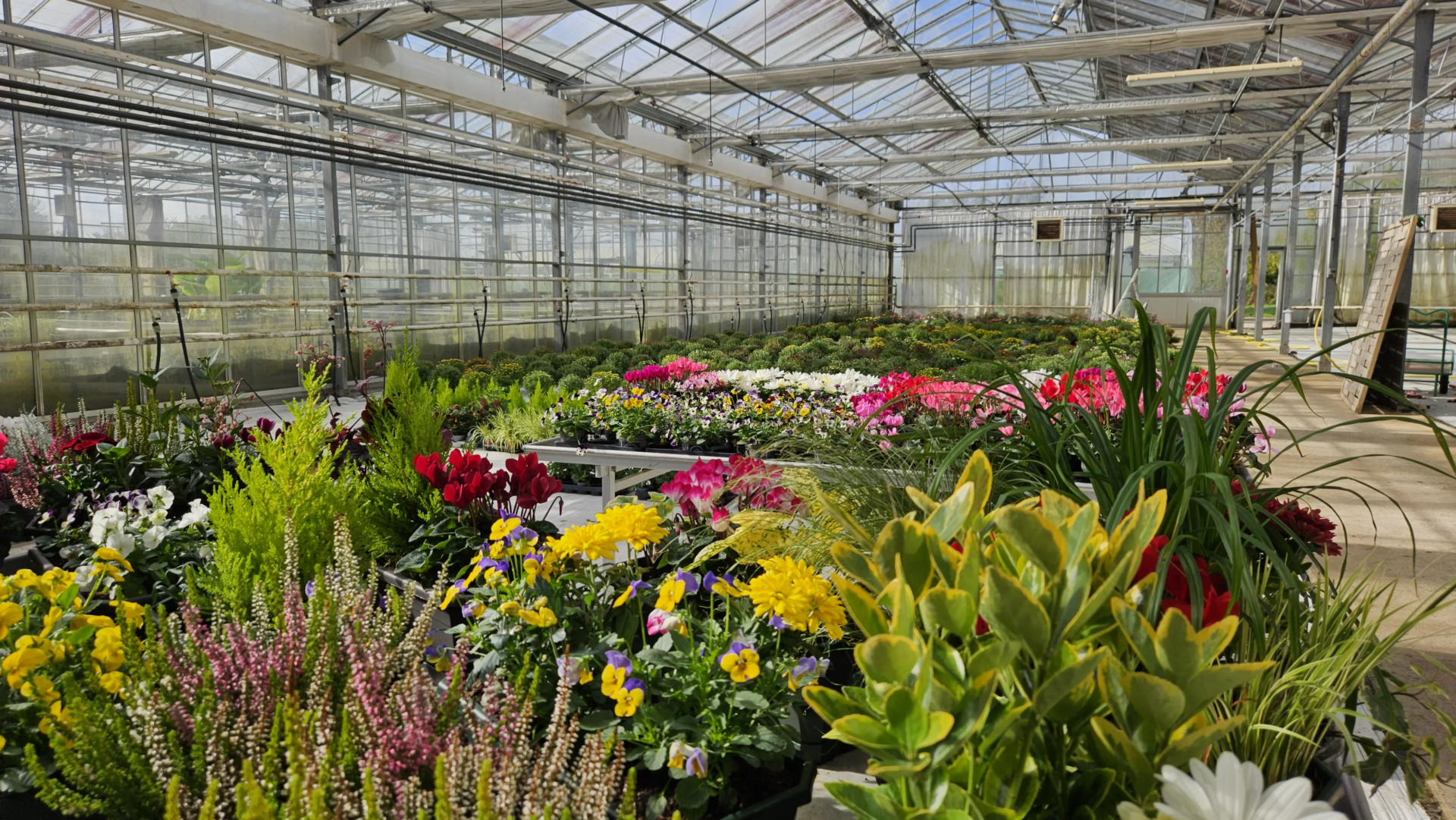 SULHOUET Jardin lycée horticole saint jean brévelay hennebont 6