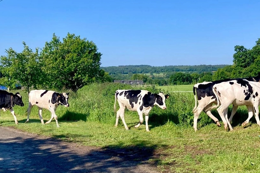 exploitation-agricole-du-gros-chene-pontivy-campus-snm exploitation-agricole-du-gros-chene-pontivy-campus-snm